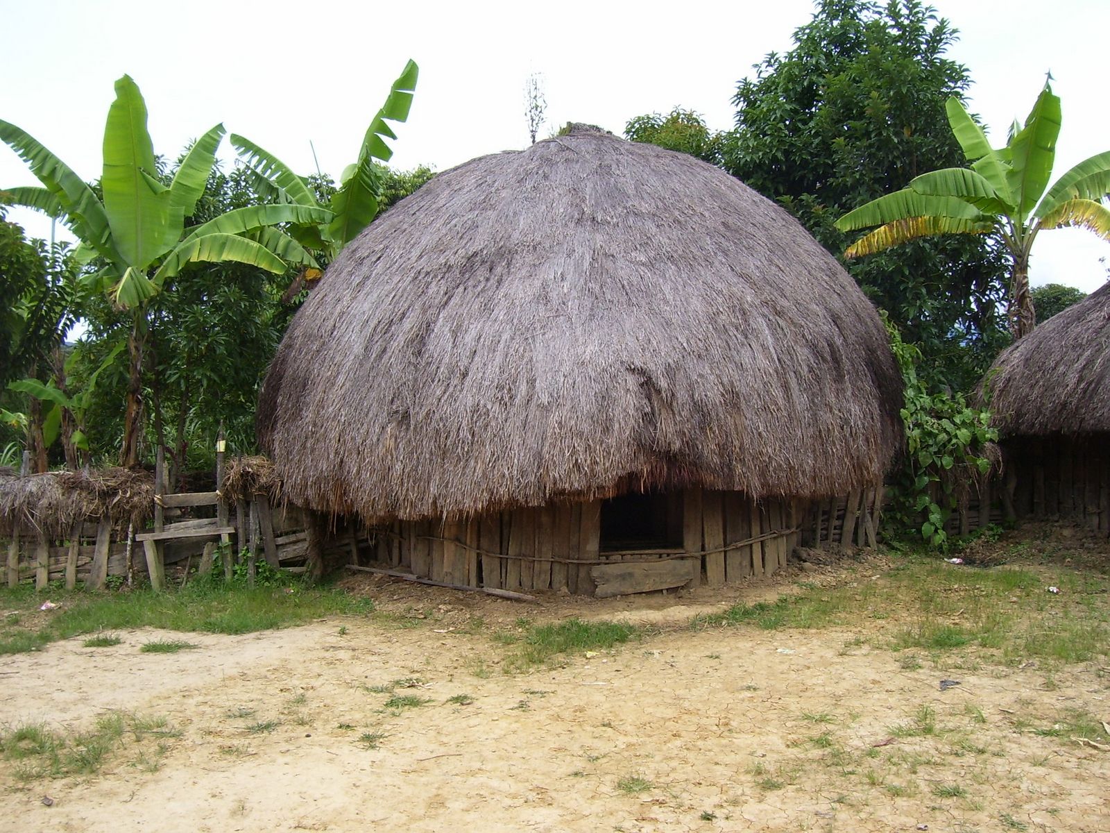 Papua: Rumah Honai  Seni Budaya Indonesia